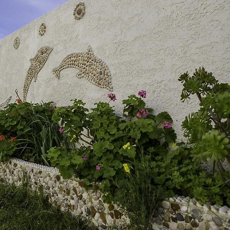 Saint Amon Hotel Faliraki Exterior foto